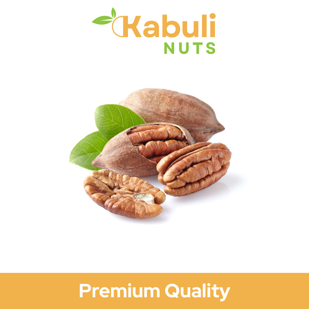 Roasted Pecan Nuts With Shell | Premium Quality